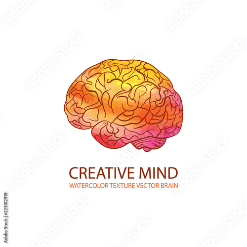 Vector Creative Mind Illustration, Watercolor Gradient Colorful Brain, Logo Template.
