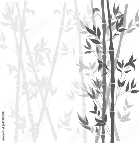 Vector Bamboo Black and White Background, Plants Silhouettes.