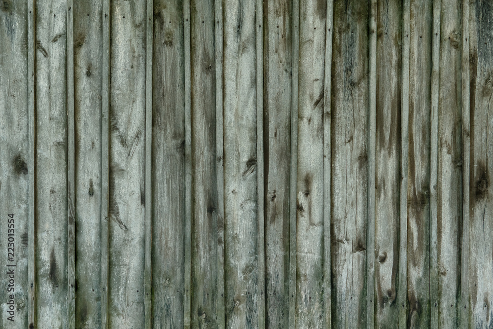 old wooden green texture background, close up old wooden green texture background, close up