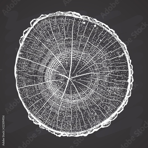 Tree log, wood growth rings grunge texture vector illustration on chalkboard background