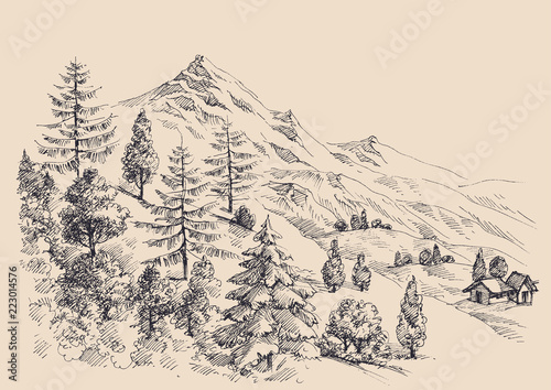 Mountain panorama, alpine vegetation, quiet, relaxing place