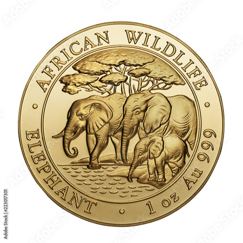 1 oz African Wildlife 