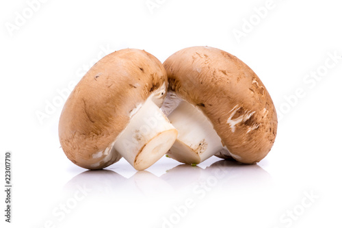 A pair of mushrooms isolated on a white background