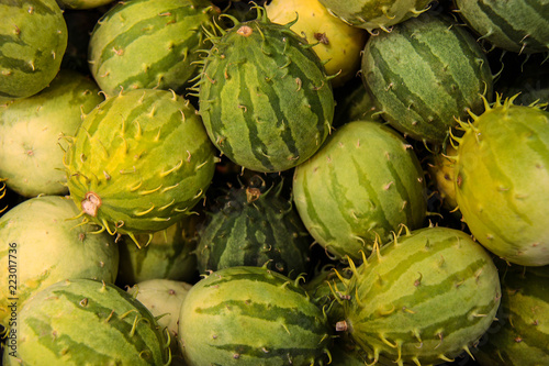 Cucumis anguria, cackrey,maroon cucumber, West Indian gherkin and West Indian gourd. Deco-Fruits yellow and green colors. photo