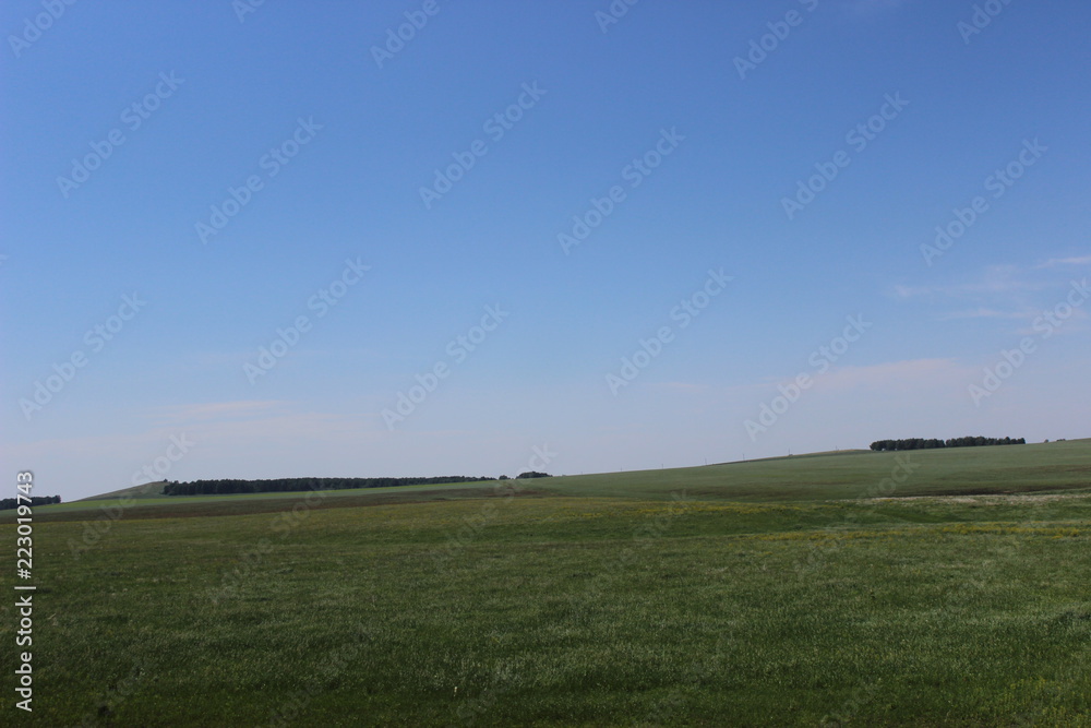 Fototapeta premium Алтайский край