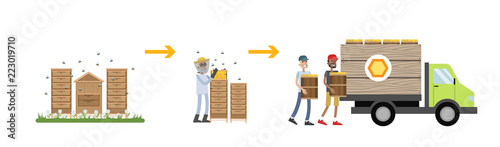 Honey production process. Gathering and packaging product