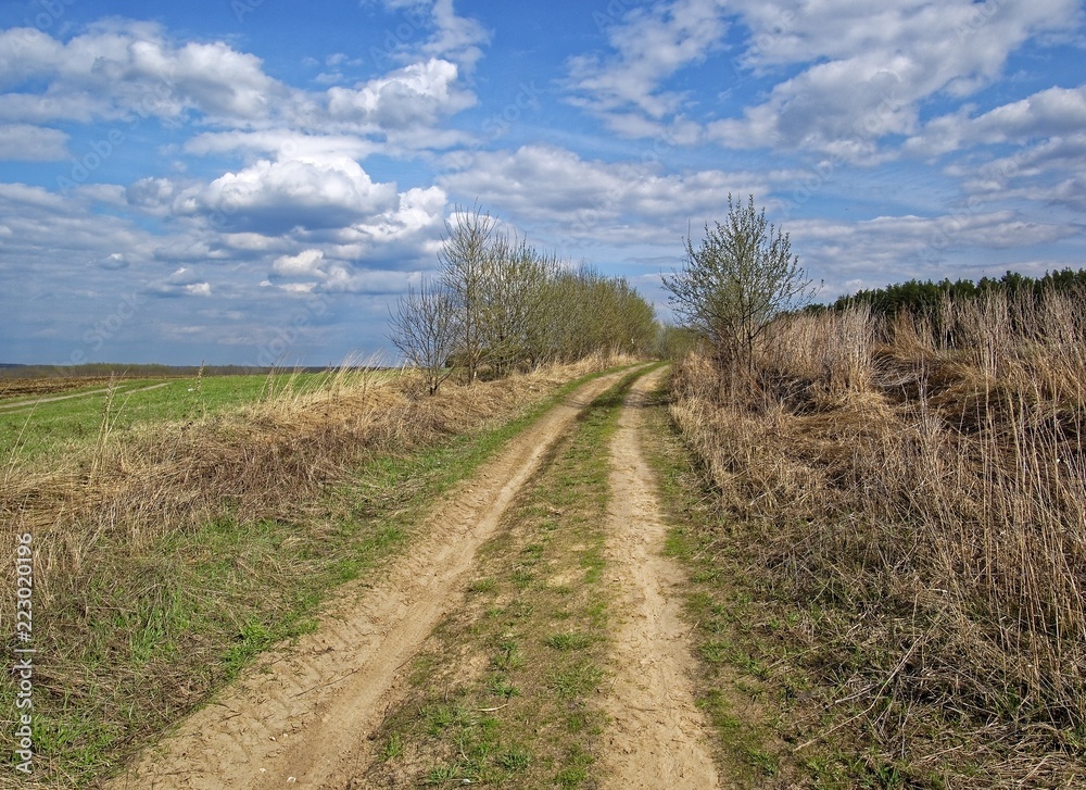 dirt road through fields in spring