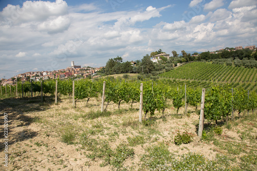 Vigneti Eretini - Colli della Sabina