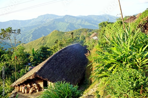 Wodden long house in Longwa tribal village, Mon, Nagaland, India, Myanmar photo