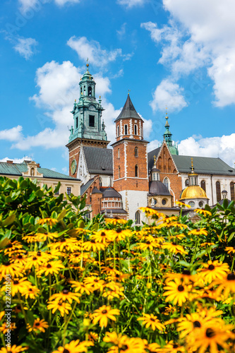 View of the Wawel cathedral on the Wawel Hill in Krakow, Poland