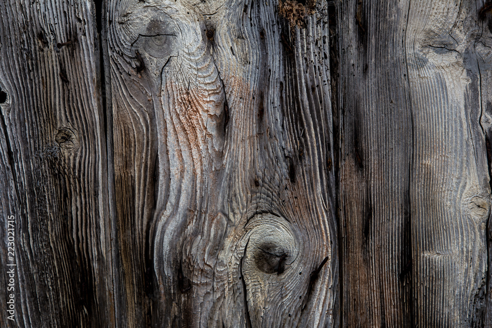 texture du bois d'une porte ancienne Stock Photo | Adobe Stock