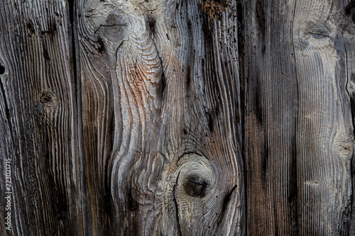 texture du bois d'une porte ancienne