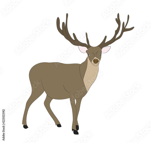 deer lies  vector