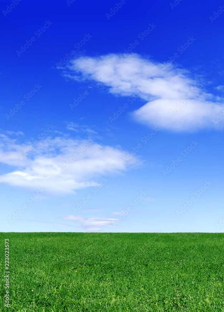 Idyllic view, green field and blue sky with white clouds