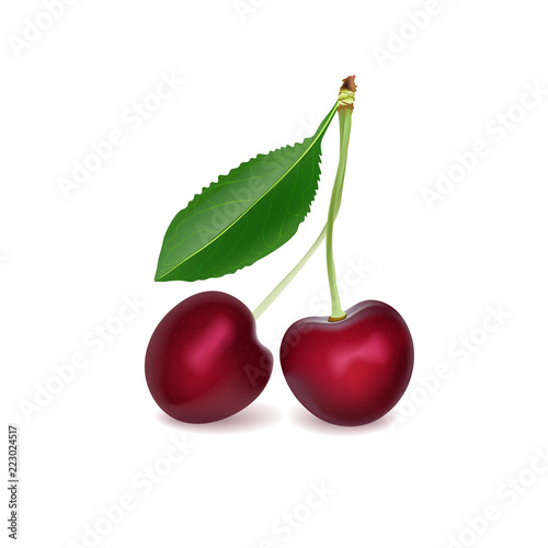 Cherry Realistic 3d Vector Illustration. Ripe Red Cherry Berries with Leaf. Detailed 3d Illustration Isolated On White. Design Element For Web Or Print