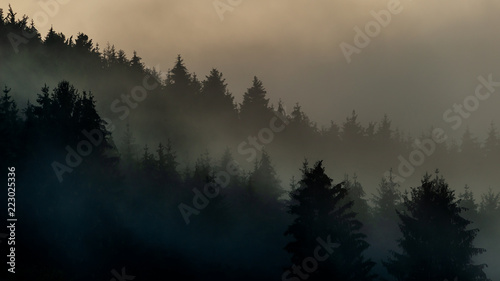 Nebel über dem Schwarzwald