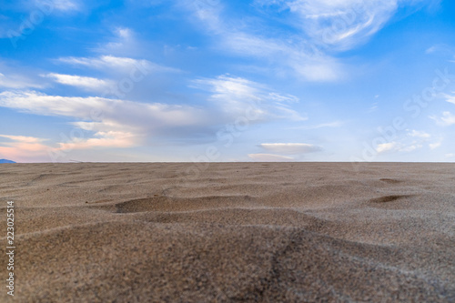砂丘の風紋 © 摩訶不思議
