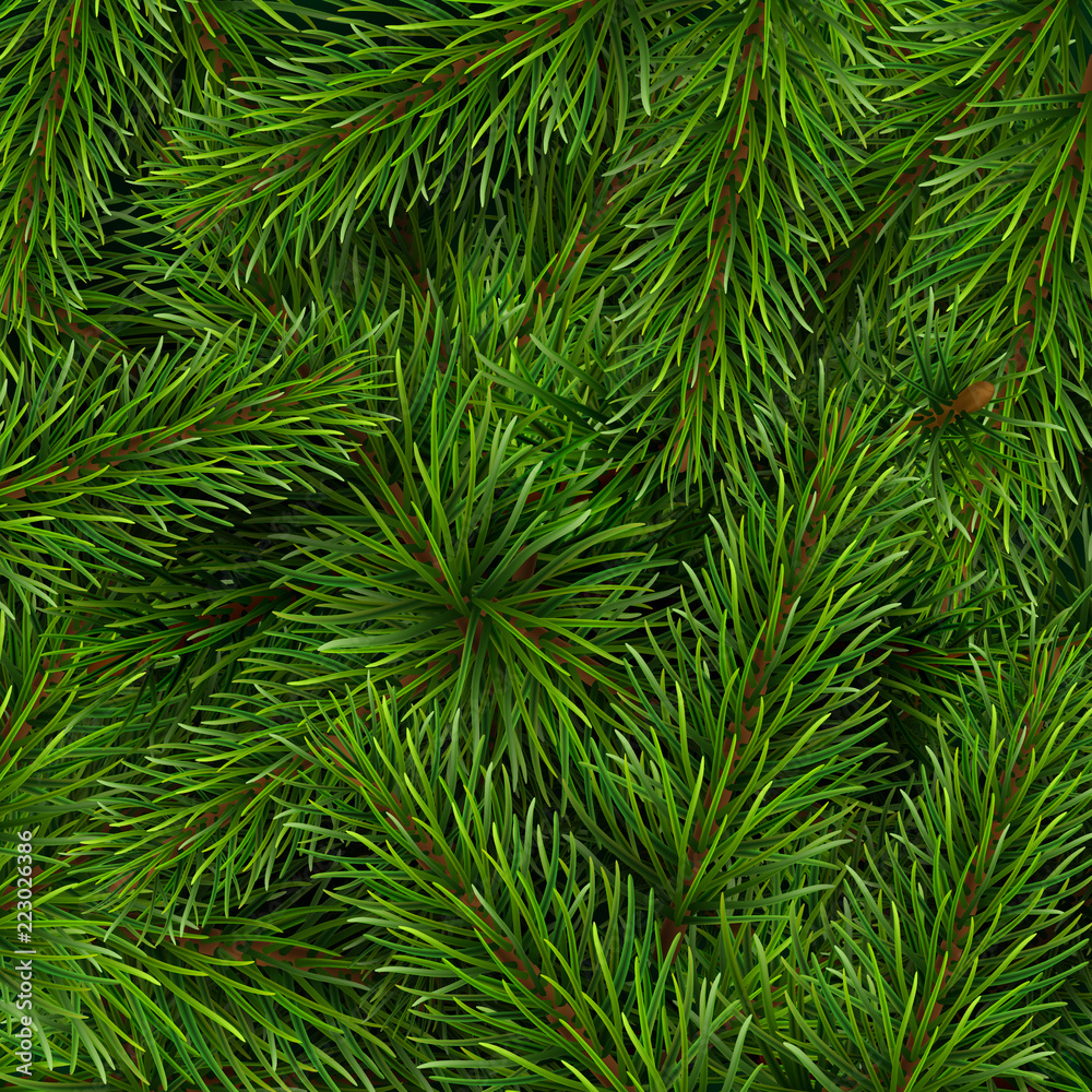 Fototapeta premium Christmas tree branches background. A template for a Christmas card or invitation to event.