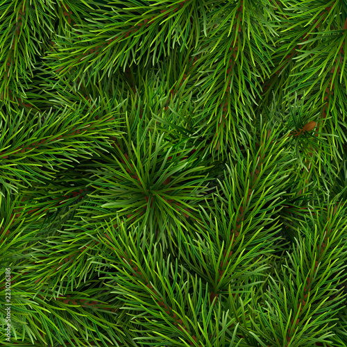 Christmas tree branches background. A template for a Christmas card or invitation to event.