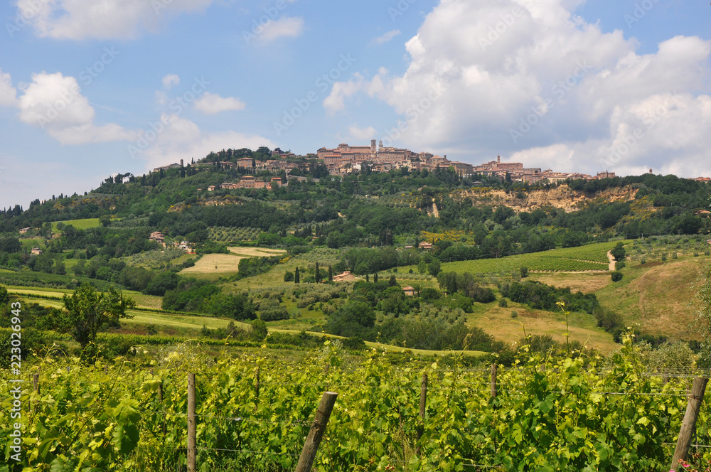 Italy - Small town on top of a hill during a beautiful sunny day over a big healthy vineyard.
