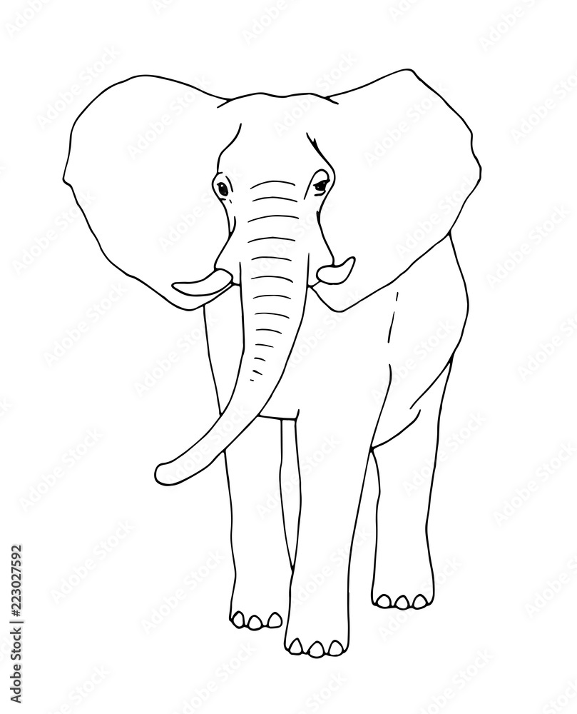 Elefant Kontur