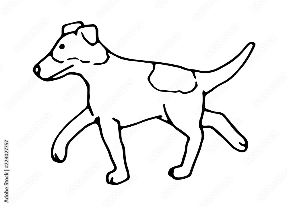 Hund Kontur Stock Illustration | Adobe Stock