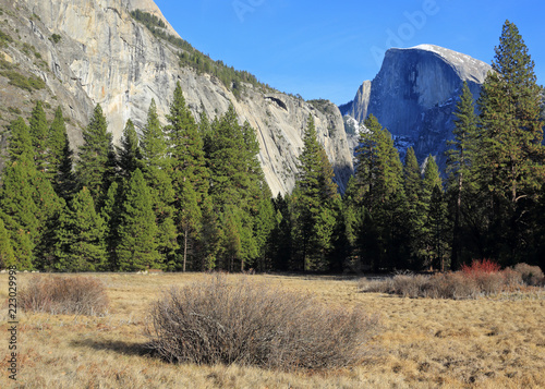 Yosemite National Park's Half Dome rises above a serene meadow in winter