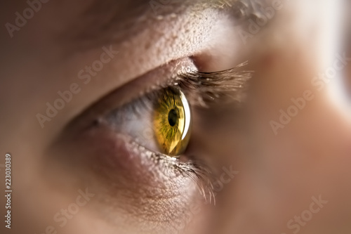 honey colored eye iris