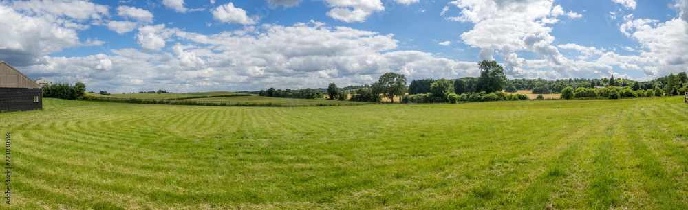 Field panorama