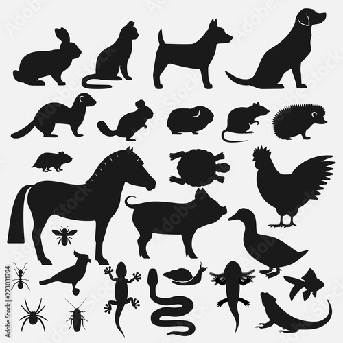 Pets silhouettes icons set