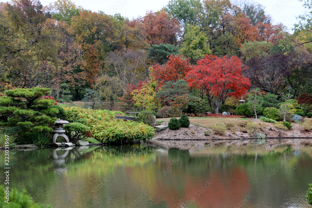 Autumn in Japanese Garden