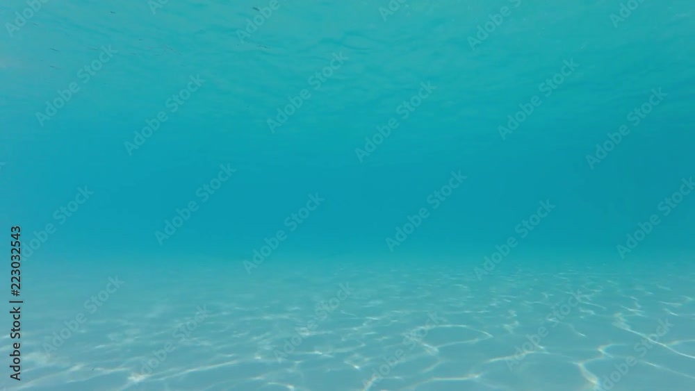 HD - Deep water. Underwater in the blue sea background. HD - Deep water. Underwater in the blue sea background.