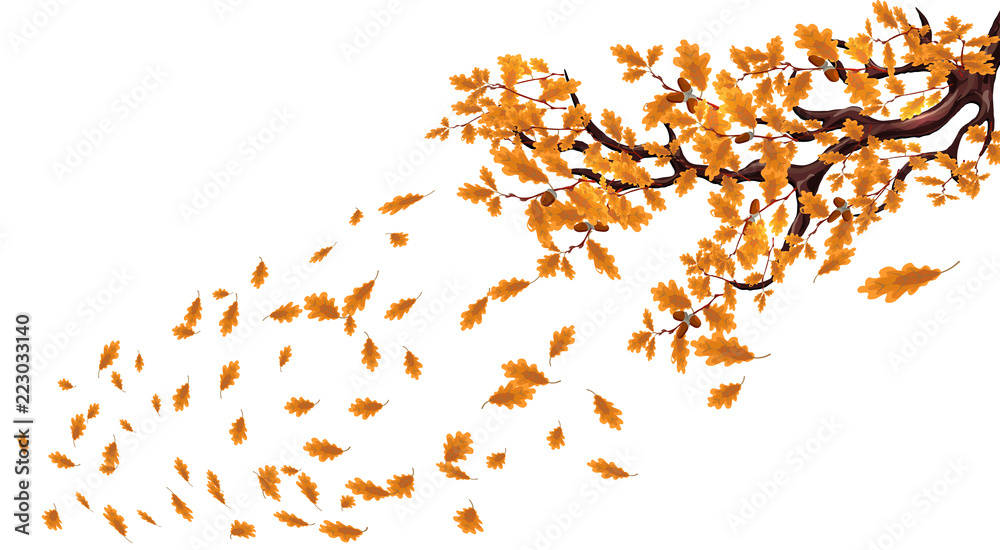 Yellow autumn branch of a large oak tree with acorns. Fly over the leaves and whirl in the wind. illustration