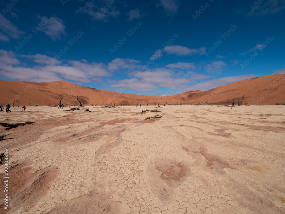 Deadvlei salt pan of Sossusvlei, inside the Namib-Naukluft Park in Namibia 