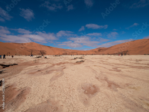 Deadvlei salt pan of Sossusvlei, inside the Namib-Naukluft Park in Namibia 