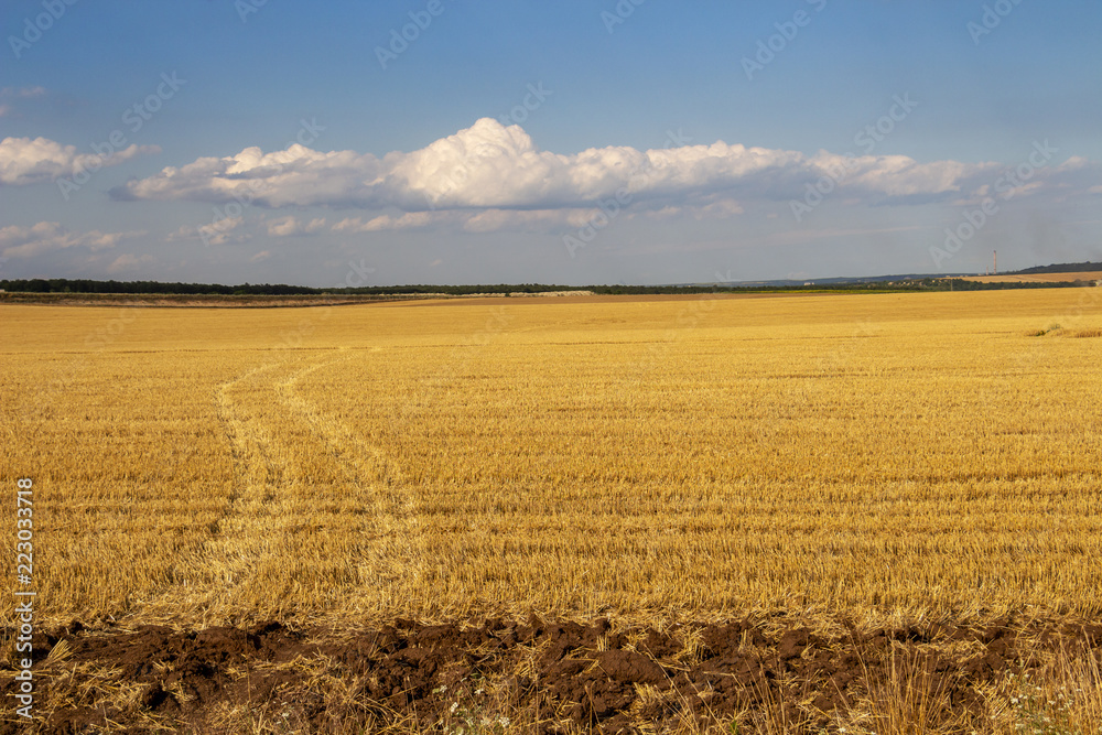 Tractor tracks through a stubble field, June Bulgarian agricultural view