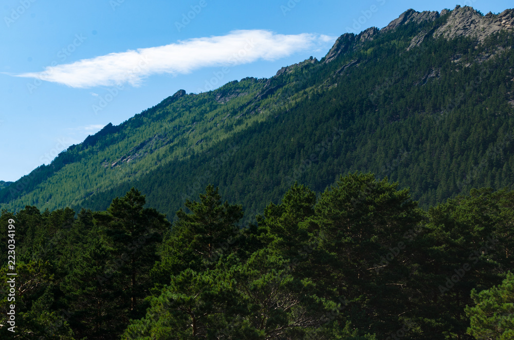 Mountain landscape, mountains covered with pine forest.