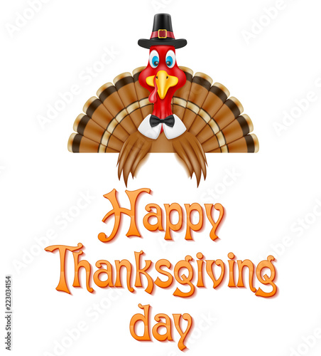 thanksgiving turkey bird vector illustration