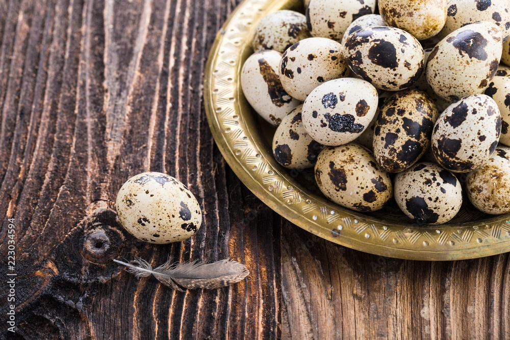 organic quail eggs organic quail eggs