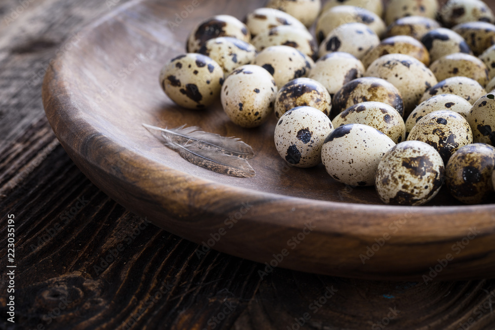 Obraz premium organic quail eggs