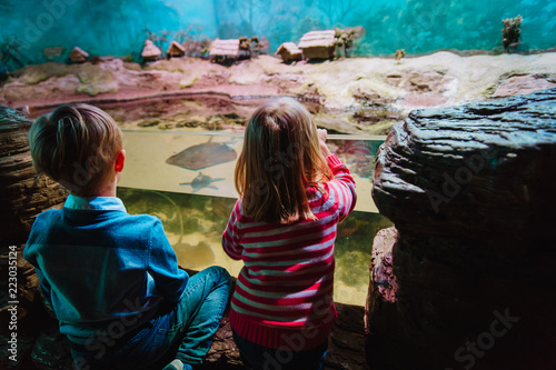 little boy and girl watching fishes in aquarium © nadezhda1906