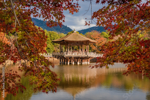 Scenic view of Nara public park in autumn, with maple leaves, pond and old pavilion, in Japan