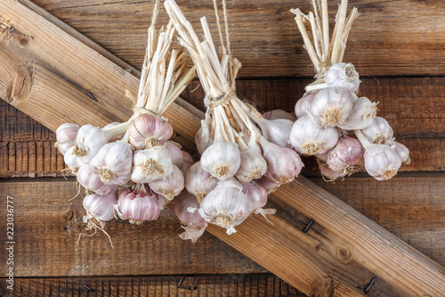 Bundles of fresh garlic dried on vintage wooden wall photo