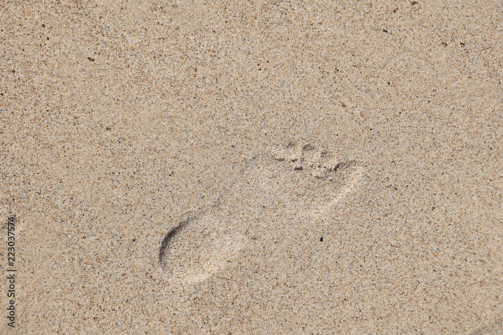 Footprint on the sand with an empty place for text Footprint on the sand with an empty place for text