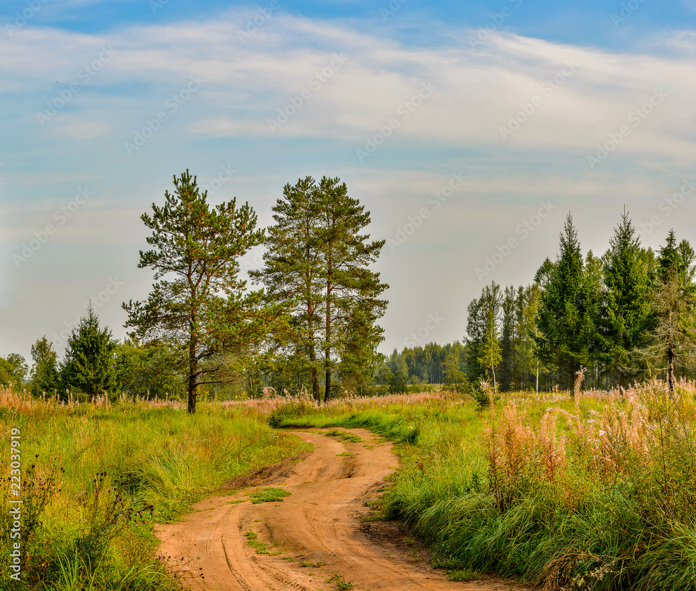 Sunny autumn day at the edge of the forest. Early autumn. Sunny autumn day at the edge of the forest. Early autumn.