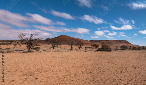 Sossusvlei dunes inside the Namib-Naukluft Park in Namibia 
