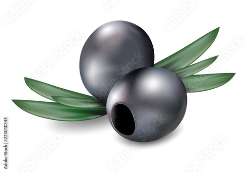 Olives isolated on white background. Vector illustration
