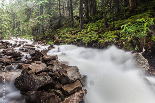 Fast and rapid mountain stream current after rain