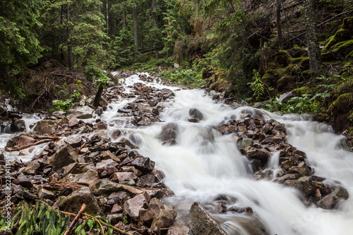 Fast and rapid mountain stream current after rain