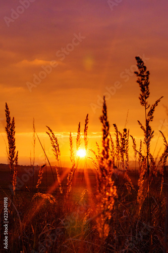 Fototapeta Naklejka Na Ścianę i Meble -  Very beautiful and colorful sunset in the countryside with grass in the foreground